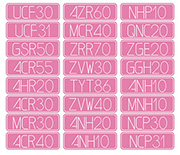 ヨコ型　ピンク/ホワイト文字